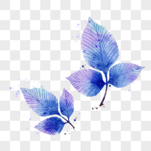 水彩蓝紫色晕染植物图片