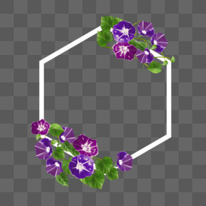 紫色水彩牵牛花卉多边形边框高清图片