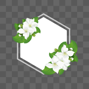 白色水彩玉兰花卉边框图片