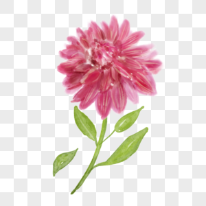 粉红色创意花朵水彩花卉大丽花图片