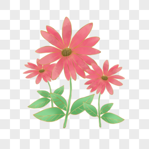 光效金线植物粉色雏菊图片