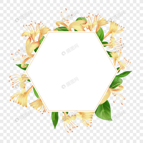 水彩花卉金银花六边形边框图片