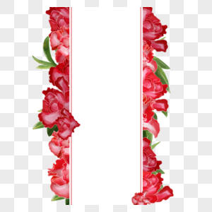 水彩红色杜鹃花卉边框图片