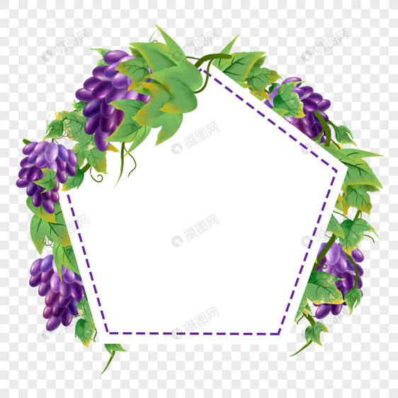 水彩葡萄藤边框紫色叶子图片