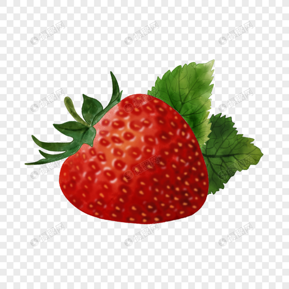 水彩草莓盛开的果实图片