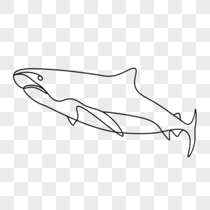 抽象线条画海洋动物鲸鱼图片
