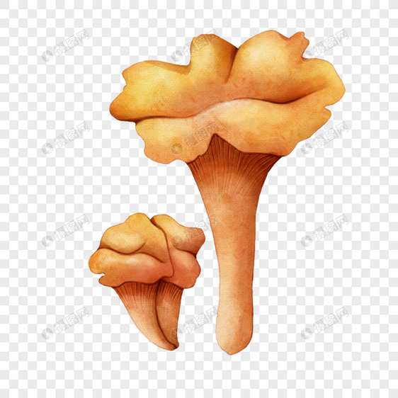 水彩黄色蘑菇图片