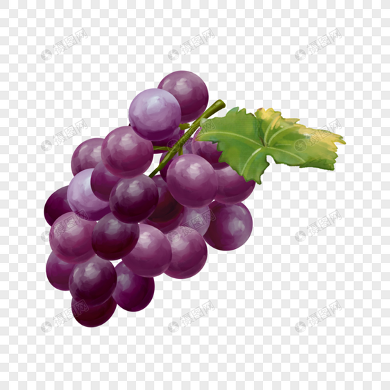 水彩食物水果葡萄提子图片