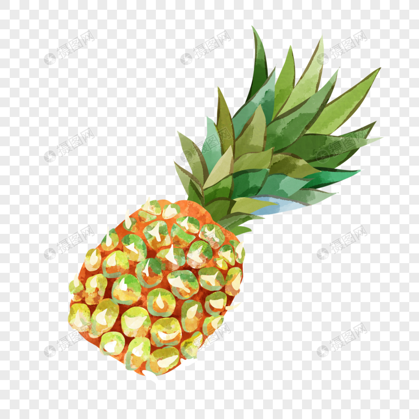 水彩夏季水果菠萝图片