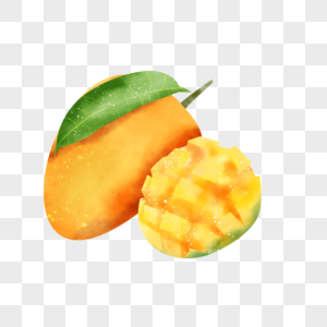 芒果果实水彩画彩色水果植物图片