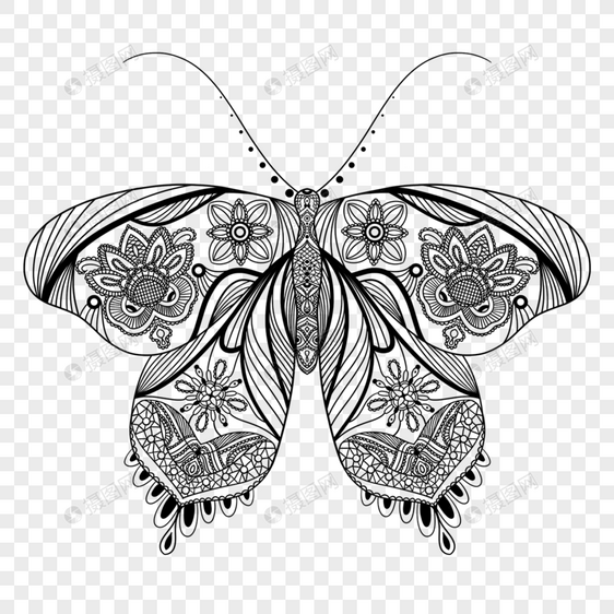 蕾丝线条蝴蝶图案图片