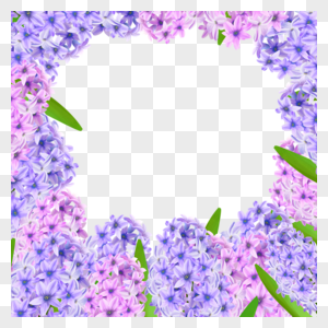 水彩风信子花卉边框图片
