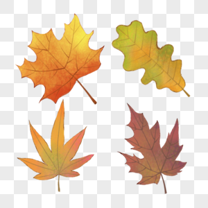 咖色的水彩秋季树叶组合图片