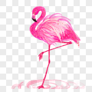 火烈鸟鸟类动物粉红色单腿站立水彩画图片