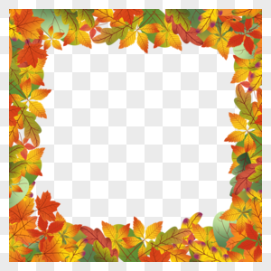 正方形枫叶秋天叶子边框图片