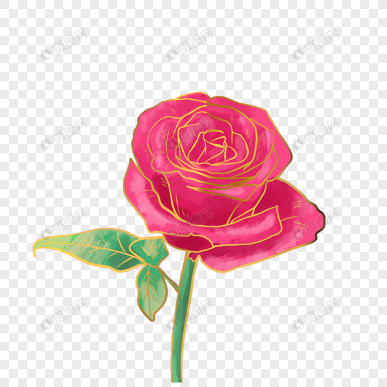 红玫瑰金线描水彩花卉图片