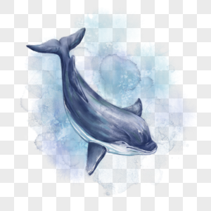 水彩晕染海水鲸鱼图片