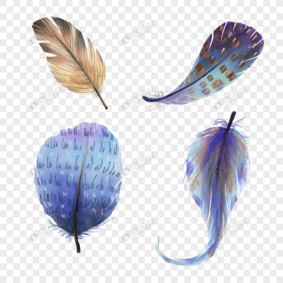 水彩抽象彩色羽毛图片