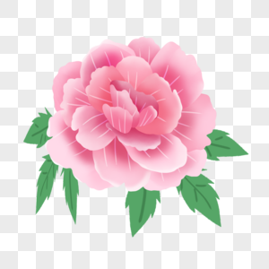 可爱粉色花瓣水彩图案图片