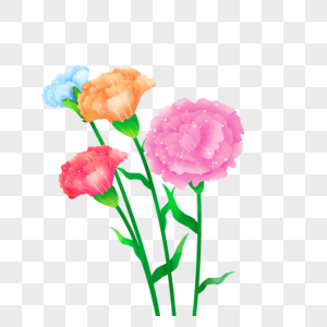 感恩象征植物康乃馨花束图片