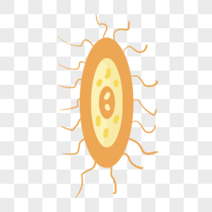 橙色黄色细菌卡通微生物图片