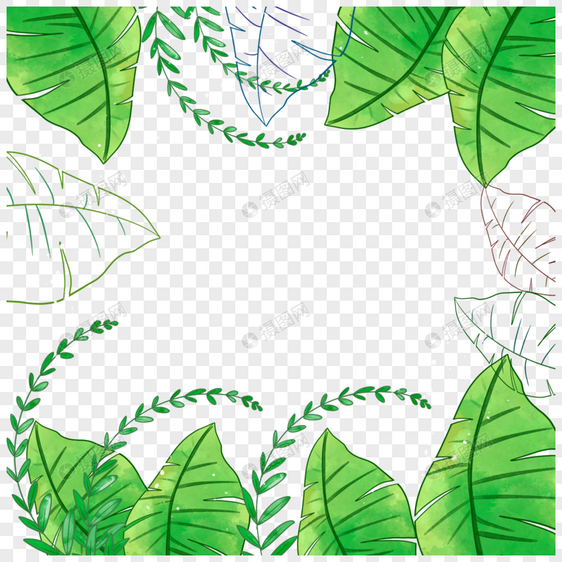 水彩夏季绿色热带植物边框图片