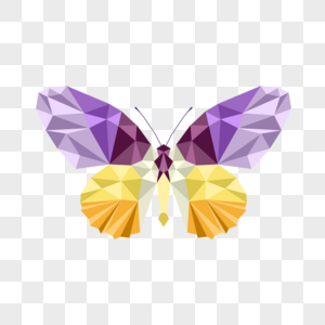 紫色黄色几何风格多边形低聚彩色蝴蝶图片