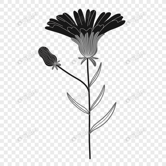 创意黑白单色涂鸦手绘花朵图片