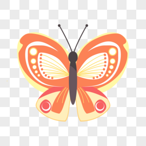 春天自然多彩的蝴蝶昆虫飞橙色翅膀图片