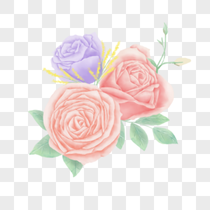 淡雅大朵水彩玫瑰花卉图片