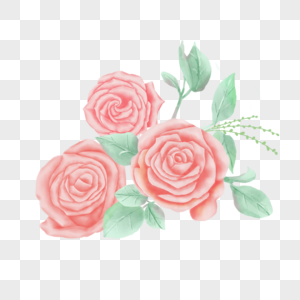 红色淡雅玫瑰植物花卉水彩图片
