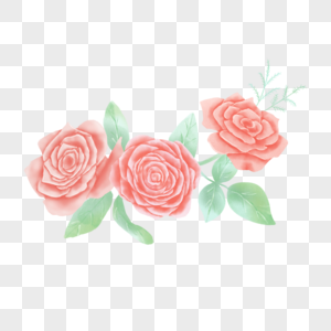 红色花卉植物玫瑰水彩淡雅图片
