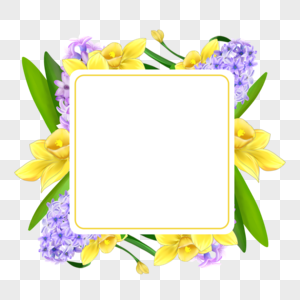 水彩风信子水仙花卉正方形边框美丽图片