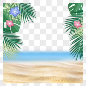 夏季植物叶片沙滩海边图片