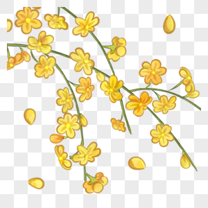 黄色春季迎春花植物图片