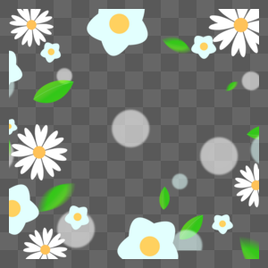 清新绿色树叶与白色小雏菊春天植物光效花卉图片