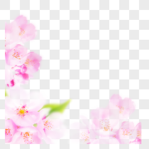 粉色浪漫樱花元素图片