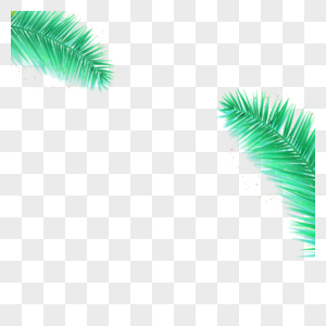 青绿色的棕榈叶图片