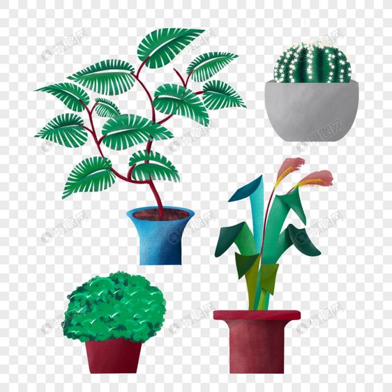 室内植物盆景盆栽图片