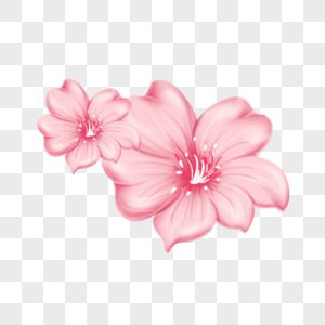 粉色花瓣卡通插画图片