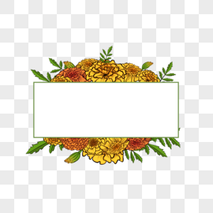 黄色万寿菊长方形边框图片