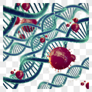 红绿dna和新型冠状图片
