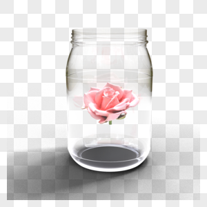 玻璃瓶里面的情人节玫瑰图片