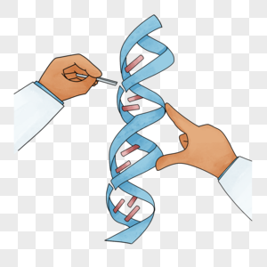 基因中的遗传学密码高清图片