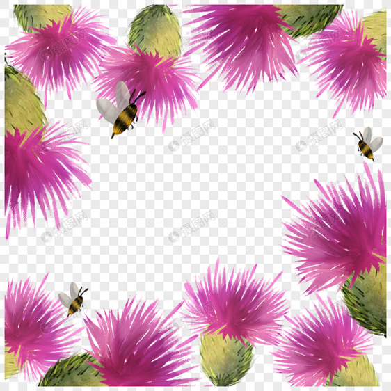 蓟花卉蜜蜂水彩粉色边框图片