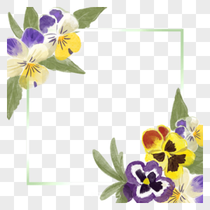 三色堇花卉水彩唯美边框图片