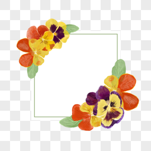 三色堇花卉水彩方形边框图片