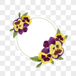 三色堇花卉水彩圆形边框图片