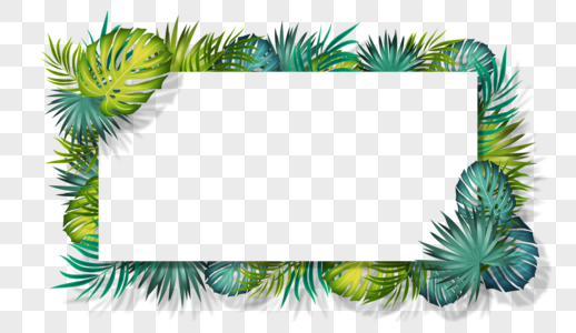 棕榈叶绿色叶片卡通边框图片