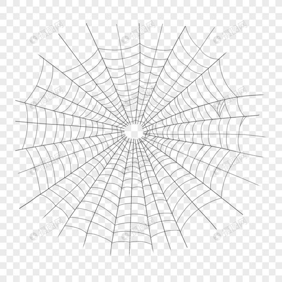 蜘蛛丝蜘蛛网细线条图片